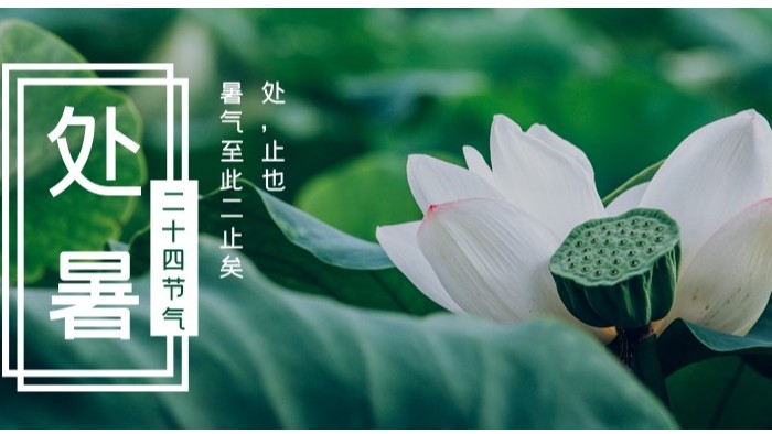 處暑已至，秋意漸濃，百華勞保鞋護您步步生風迎金秋